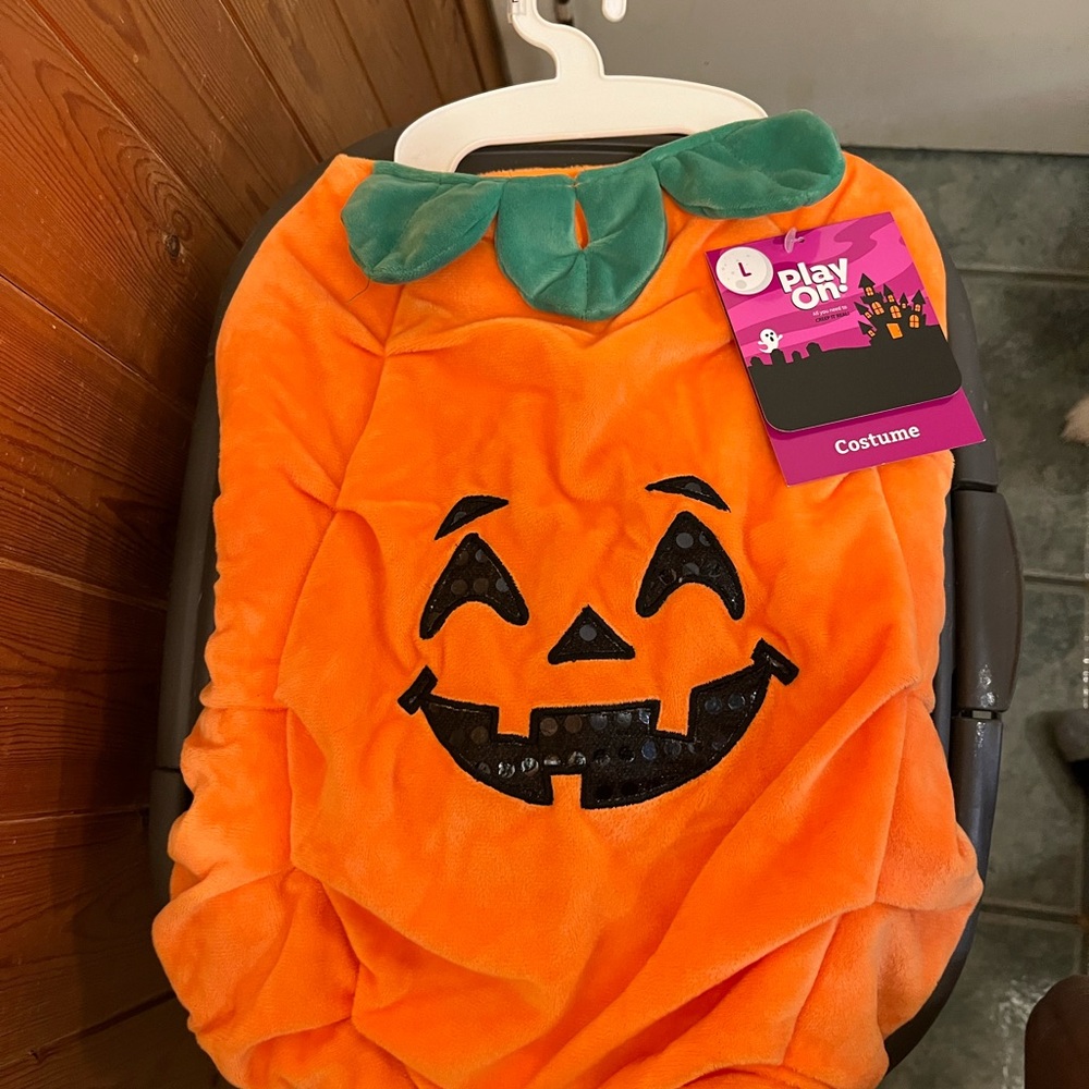 Halloween Dog Costume Orange and Black Pumpkin Outfit